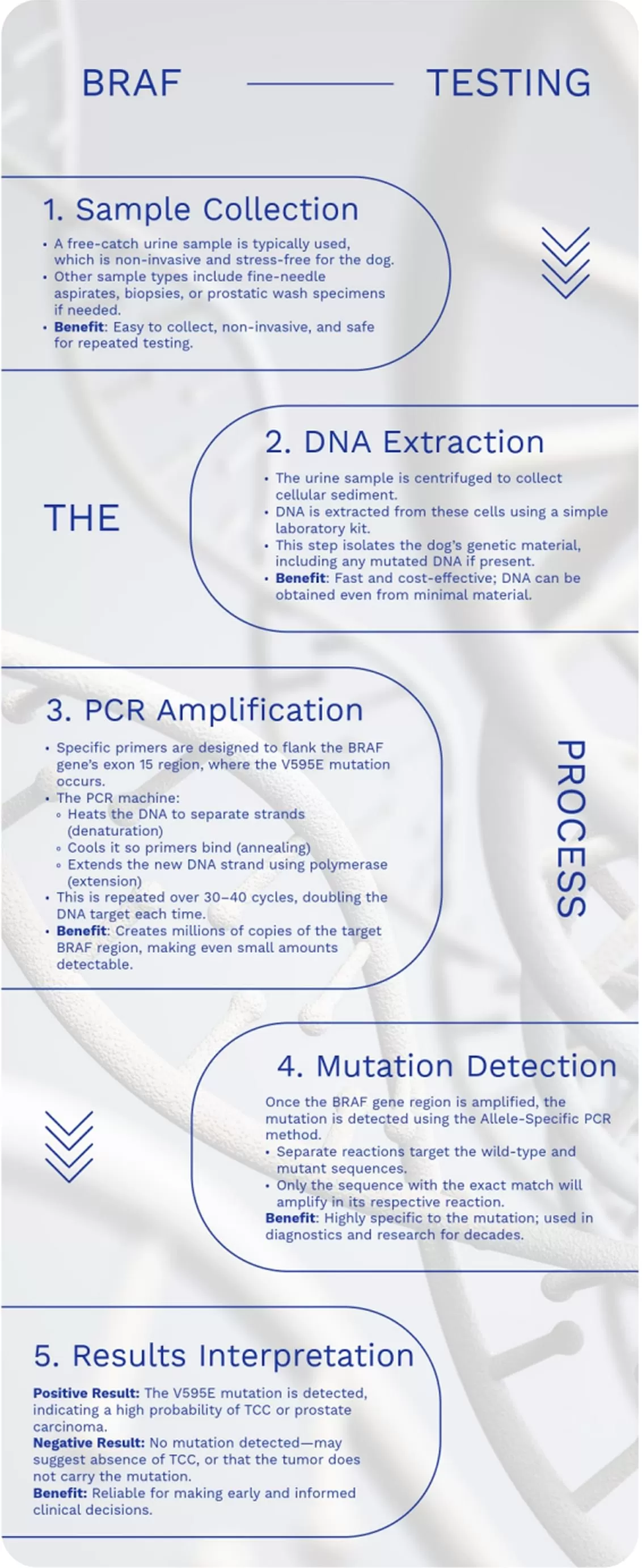 BRAF PCR Test for Canine