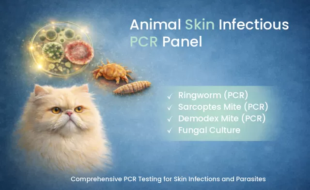 Animal Skin Infectious Disease Panel