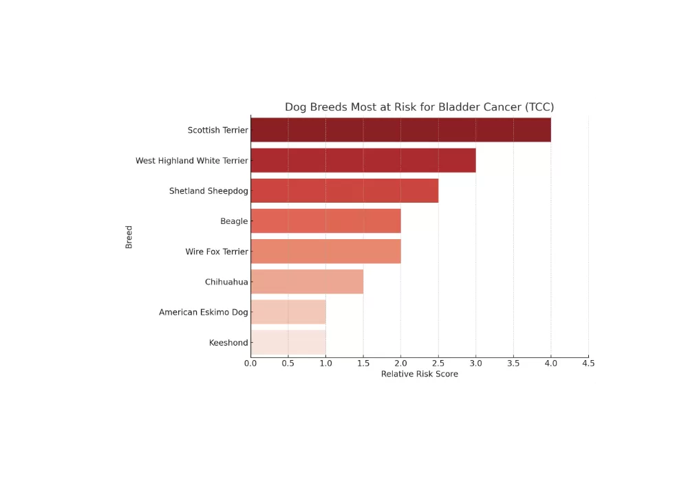 Elevated Risk Requires Targeted Testing