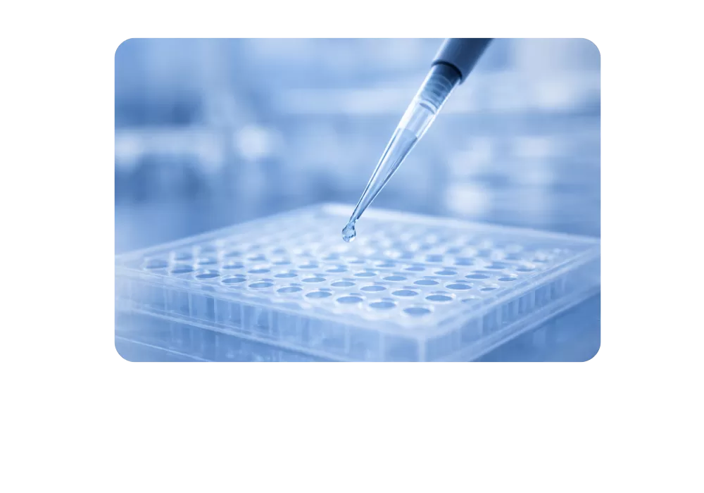 High-Impact Molecular Insight