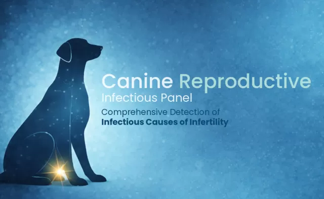 Canine Reproductive Infectious Panel 
