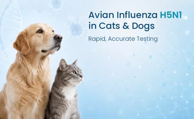 H5N1 - Avian Influenza PCR Test in Cats and Dogs